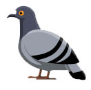 PIGEON_CL