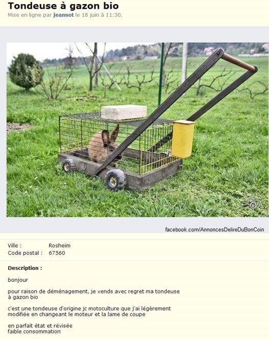 TONDEUSE